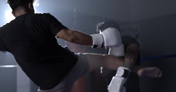 800 Кадров Секунду Искусство Боя Muay Thai Expert Perfect Side — стоковое видео