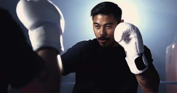 Gloved Combatant Awaits Duel Steely Gaze Rival Dramatically Illuminated Boxing — Stock Video