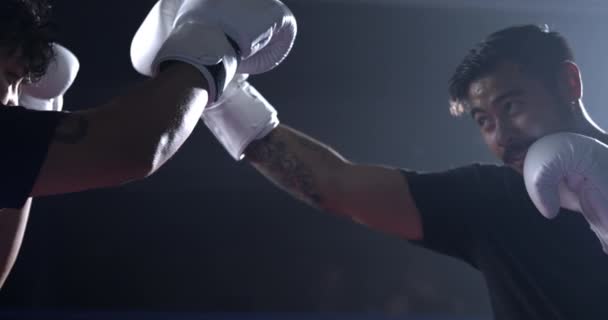 Boxers Luvas Mãos Reunidas Pré Luta Gesto Esporte Câmera Lenta — Vídeo de Stock