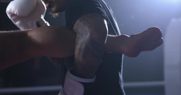 Kilpailija Tarttumalla Jalka Aikana Muay Thai Taistelevat Ottelu Henkilö Potkiminen — kuvapankkivideo