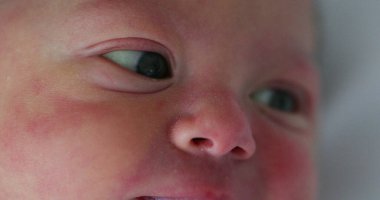 Newborn baby eyes in first day of life looking and observing