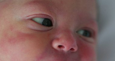 Newborn baby eyes in first day of life looking and observing