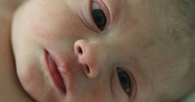 Newborn first day of life portrait