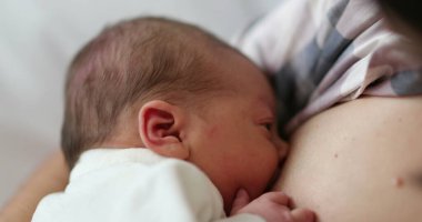 Newborn baby breastfeeding, first day of life