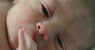 Newborn baby infant portrait macro