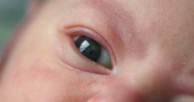 Newborn baby eyes in macro