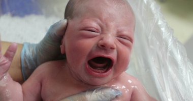 Newborn baby crying taking bath
