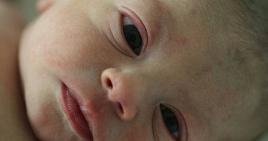 Newborn baby infant portrait macro