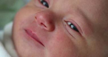 Newborn baby boy looking and observing the world, first day of life