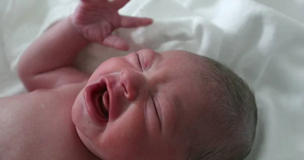 stock image Newborn baby crying at hospital first hours of life