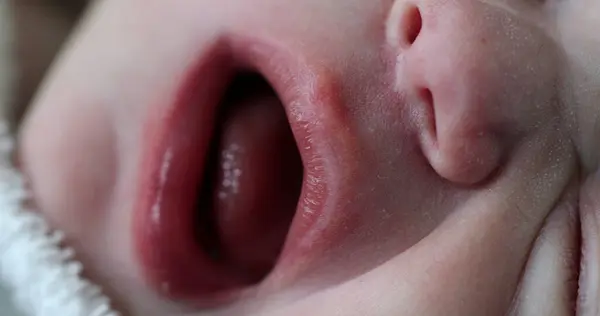 Macro Close Newborn Baby Face — Stockfoto