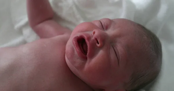 stock image Newborn baby crying at hospital first hours of life