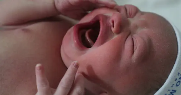 stock image Newborn baby crying at hospital, first minutes of life