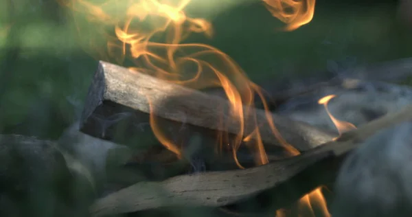 Close-Up of Campfire Burning in Ultra , Detailed Wood Flames of Campfire vertical video