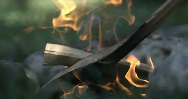 Beautiful camp fire flames captured with high-speed camera in slow-motion. Small fire burning wood