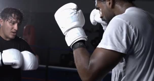 Rivaler 800 Fps Intense Duel Fighters Kolliderar Långsamma Rörelser Boxning — Stockvideo