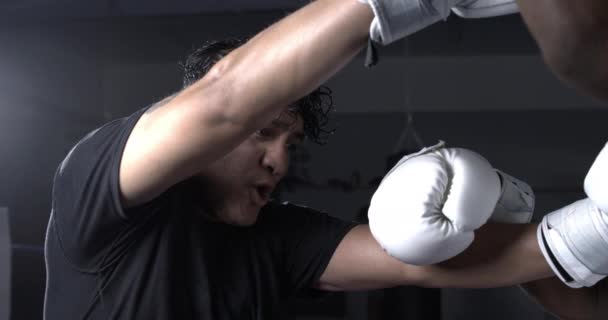 在800个进行慢动作拳击比赛的对手中进行侵略性的反攻 — 图库视频影像