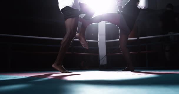 Dva Bojovníci Uvnitř Ringu Výměnné Nohy Kopne Dramatickém Osvětlení Zachycen — Stock video