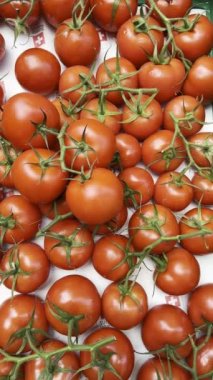 Çiftçi pazarında sergilenen canlı kırmızı domatesler İsviçre kalite garanti mührünü gururla sergiliyor.