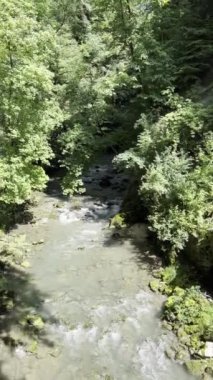 Nehir akıntılarının büyüleyici görüntüsüne hayret ediyorum. Bakir su yolu yemyeşil bir orman tepe örtüsünün içinden esiyor.