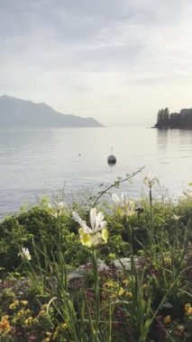 Göldeki Dinginlik: Anchored Boat, Lakeside Flowers ve Majestic Mountains in the Distance