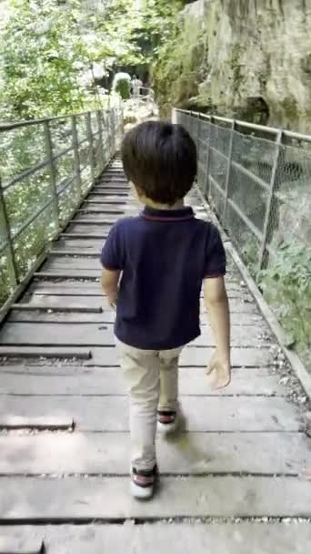 Смотрите Увлеченный Мальчик Поспешно Пересекает Очаровательный Деревянный Мост Эко Тропе — стоковое видео