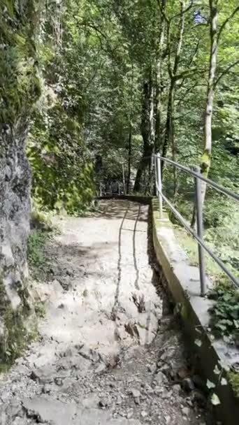 Randonnée Long Sentier Pittoresque Montagne Forêt Rivière Dans Nature Lap — Video