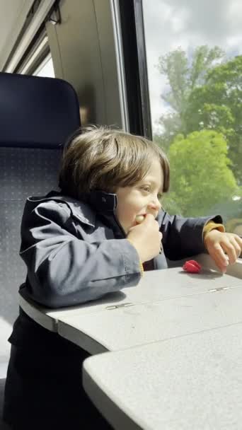 Kisfiú Miután Egy Snack Miközben Utazik Vonattal Fával Szegélyezett Táj — Stock videók