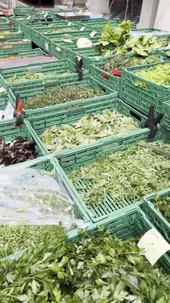 Koše Naplněné Nejrůznějšími Čerstvými Zeleninami Pouličním Trhu Které Nabízejí Zdravou — Stock video