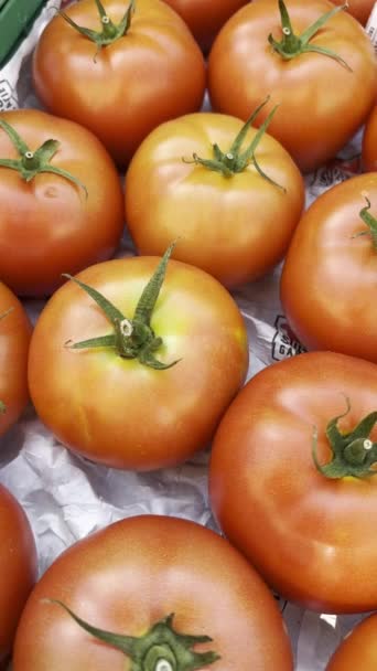 Close View Exquisite Tomatoes Bearing Swiss Quality Certification Label Bustling — Stock Video