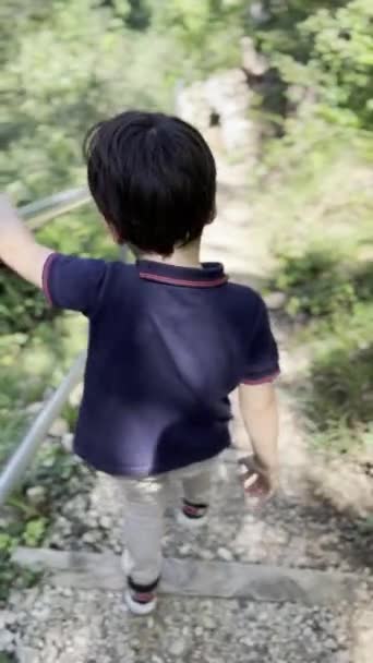 Venkovní Dobrodružství Mladý Chlapec Sestupuje Přírodním Schodišti Sunlit Park Path — Stock video