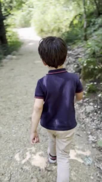 Природа Мальчик Солнечный День Гуляет Парковой Тропе Окруженной Деревьями Деревьями — стоковое видео