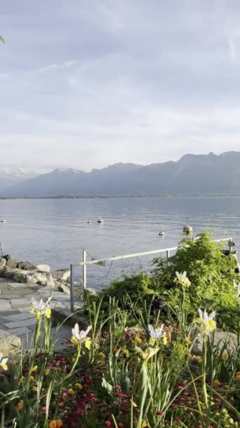 Tranquil Stone Deck Lakeside Flowers Soaring Seagull Scenic Mountain Backdrop — Stock Video