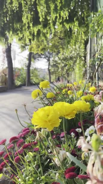 Uzak Dağ Manzaralı Lakeside Bisiklet Yolu Nun Yanındaki Renkli Çiçeklerin — Stok video