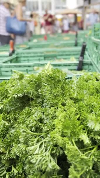 Nahaufnahme Von Frischem Grünem Gemüse Das Auf Einem Belebten Straßenmarkt — Stockvideo