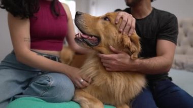 Çift, muhteşem Golden Retriever 'larını içeride okşuyor. Bir erkek ve bir kadın Köpek ve köpek sahipleri