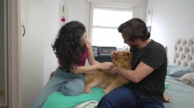 Evde köpek ile oynayan çift yatakta oturuyor. Genç adam ve kadın Golden Retriever evcil hayvanlarıyla etkileşim halindeler.