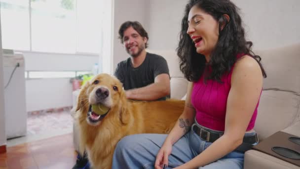 幸せな女性犬の所有者は彼女のペットとボールで屋内で遊んでいる アパートの中で彼らのゴールデンレトリバーと本物の現実のカップルの相互作用 — ストック動画