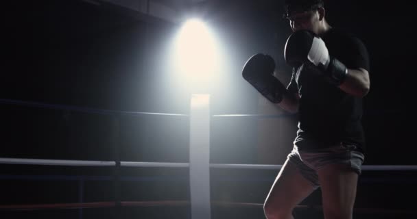 Boksz Ringben Álló Harcos Drámai Reflektorfényben Lassított Felvételen Harci Harcos — Stock videók