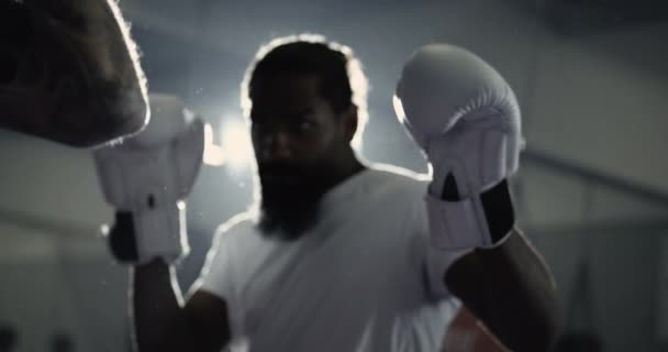 Dramatik Dövüşçü Boks Eldiveni Giyiyor Yüzü Ağır Çekimde Yoğun Bakışlarla — Stok video