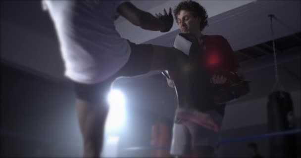 Jovem Fighter Knee Impact Mitt Lit Boxing Ring Slow Motion — Vídeo de Stock
