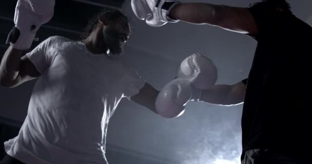 Rakibi Çok Yavaş Çekimde Yumruklayan Dövüşçü 800 Lik Dramatik Işıklandırma — Stok video