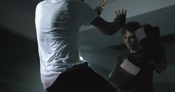 800 Fps Yoğunluk Genç Dövüşçü Boks Ringinde Dramatik Işıklandırmayla Mitt — Stok video