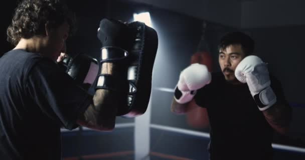Precíziós Sztrájkok Super Slow Motion Muay Thai Boxer Képzés Mitt — Stock videók