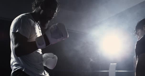 Dramatyczne Oświetlenie Dołu Focused Fighter Ready Stance Boxing Ring Intensity — Wideo stockowe