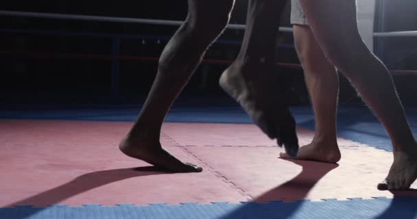 ボクシングリング内の2人の戦闘機の足 スローモーションでキャプチャされた劇的な照明 — ストック動画