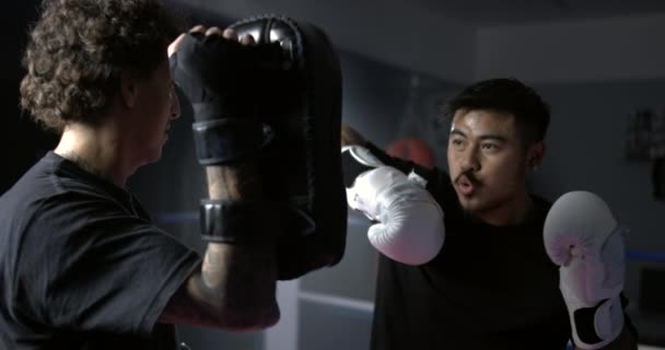 Muay Thai Mastery Zeitlupe 800 Fps Pad Arbeit Als Kämpfer — Stockvideo