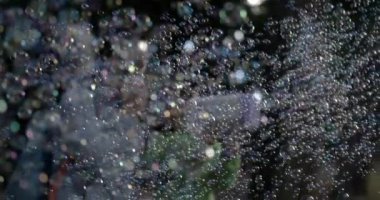 Oyuncak Silah 800 fps Slow Motion 'da Sabun Baloncukları Denizi' ni Serbest Bırakıyor