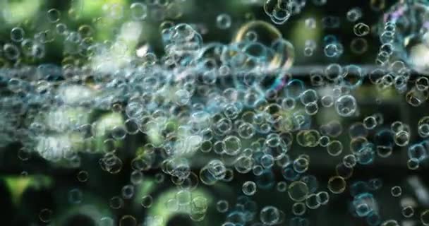 Floating Soap Bubbles Sparkling Μέσα Στον Αέρα Αργή Κίνηση — Αρχείο Βίντεο