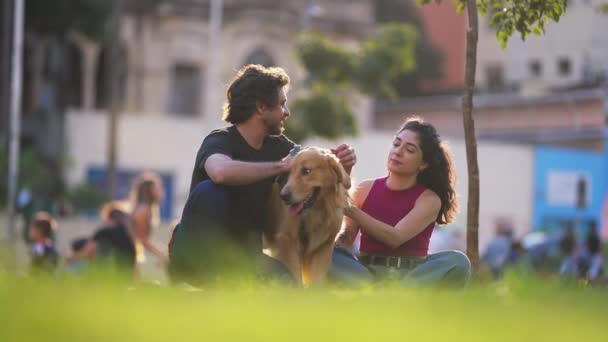 犬の仲間と一緒に公園でハッピーカップル 自然の中で美しいゴールデンレトリーバーと週末のゲッタウェイ — ストック動画